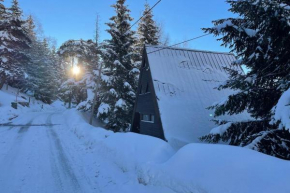 VINTAGE CHALET & QUIET COMFORT IN ALPE D'HUEZ